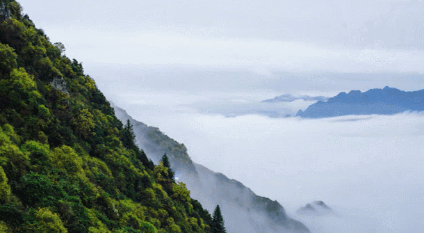 成都·瓦舍：4個景點吃喝玩樂體驗成都從容氣息