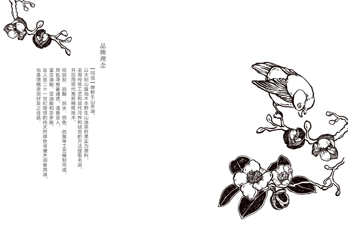 山茶油包裝設計，手繪圖案食品包裝設計