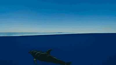 青島·棲瀾海居，在美麗的海濱城市播下詩(shī)的種子