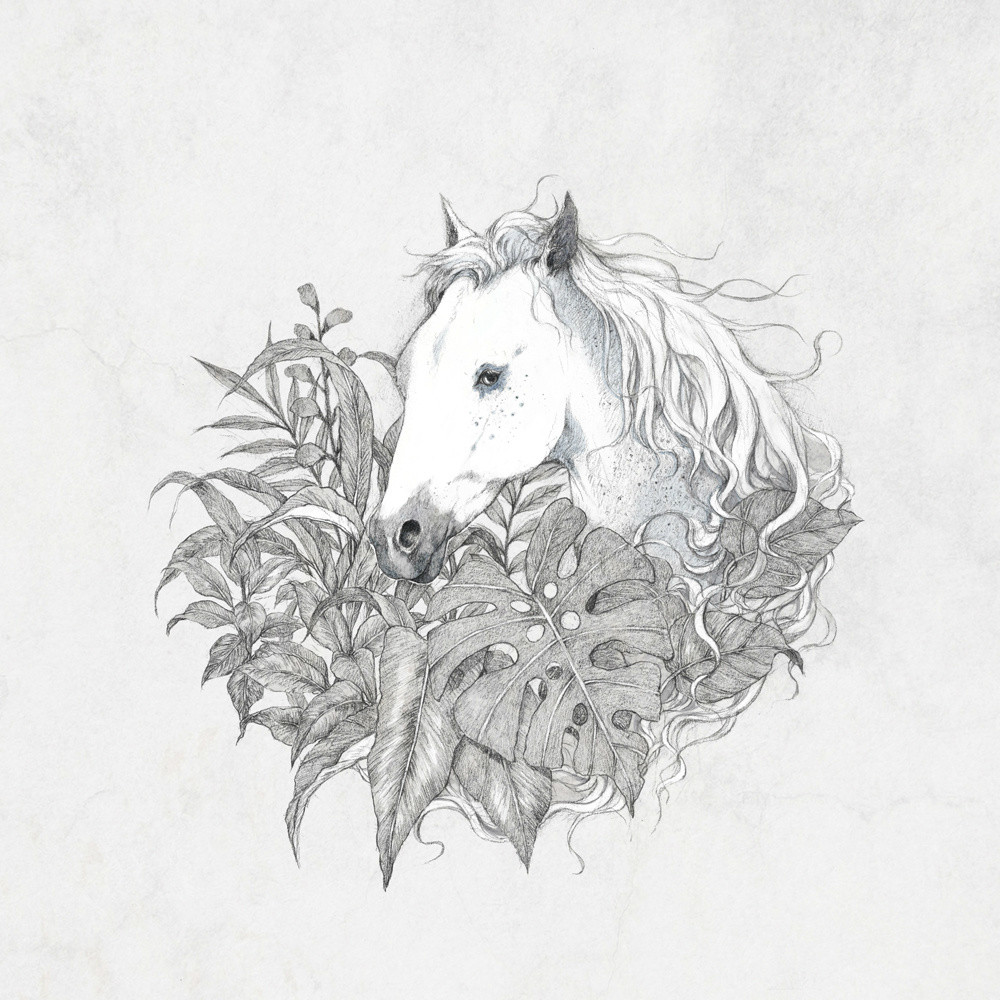 手繪動物插畫設(shè)計(jì)，黑白創(chuàng)意插畫圖片