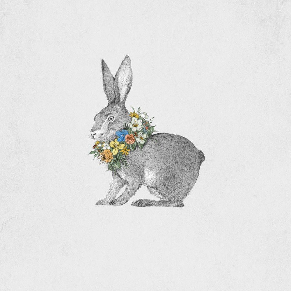 手繪動物插畫設(shè)計(jì)，黑白創(chuàng)意插畫圖片