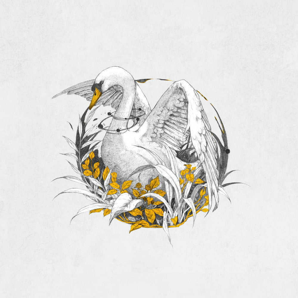 手繪動物插畫設計，黑白創(chuàng)意插畫圖片