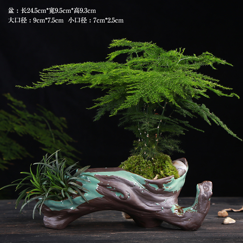 別具風(fēng)味的文竹陶瓷盆景，禪意小和尚盆景圖片