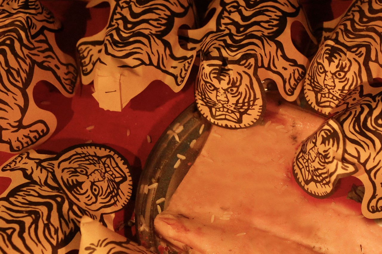 民俗驚蟄含義：驚蟄時(shí)節(jié)春雷一響萬(wàn)物長(zhǎng)