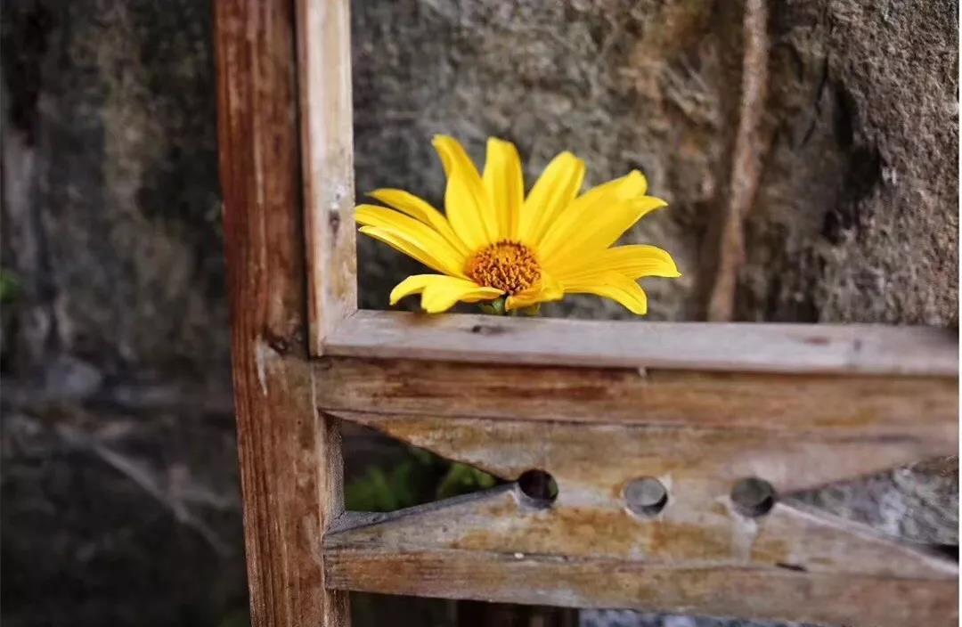 古山重水云間，細(xì)水長流吸引你