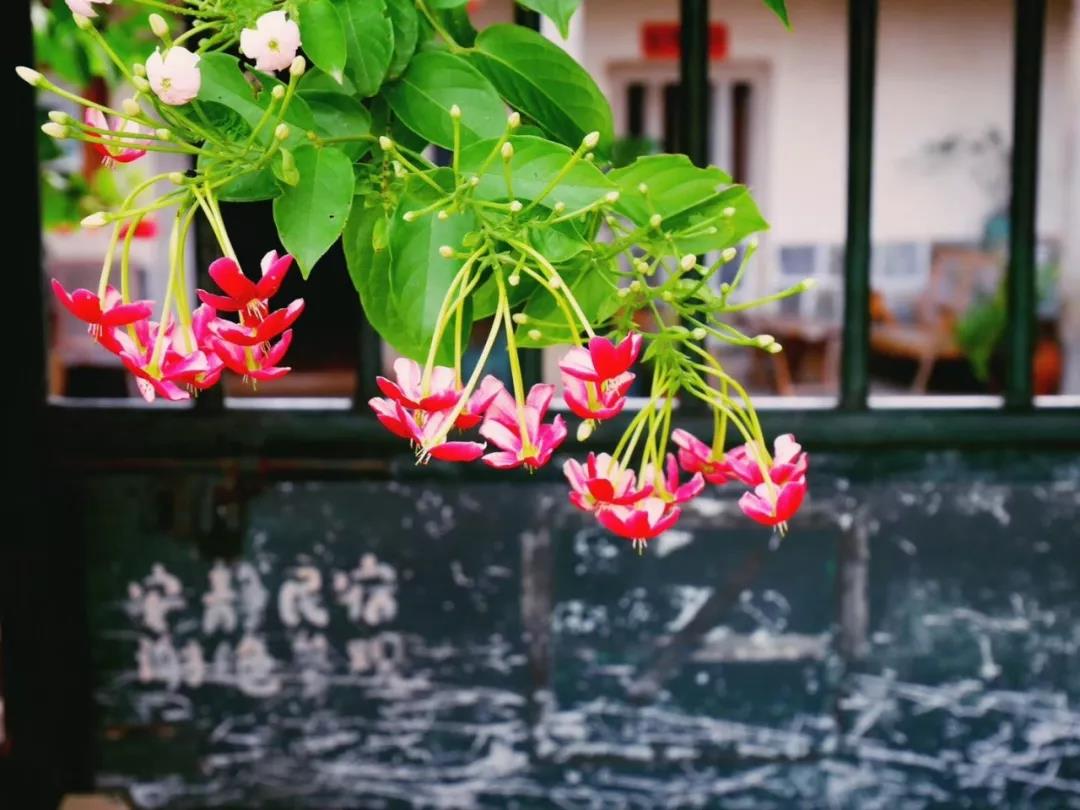 古山重水云間，細(xì)水長(zhǎng)流吸引你