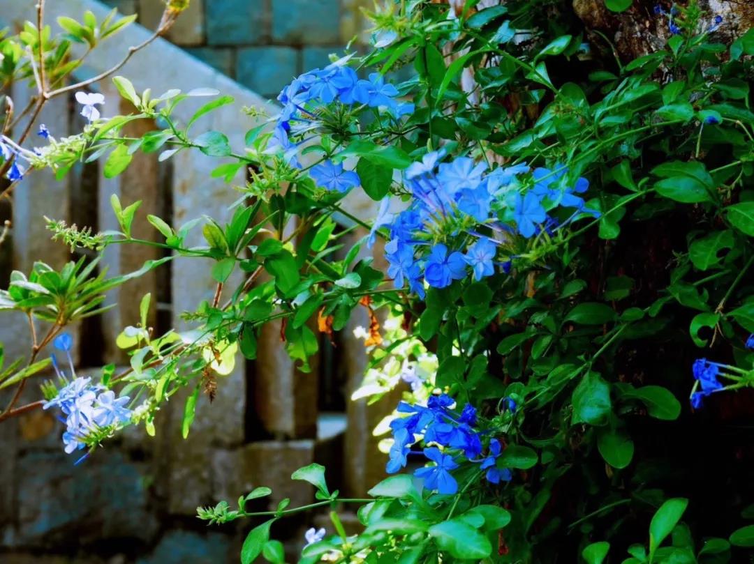 古山重水云間，細(xì)水長(zhǎng)流吸引你