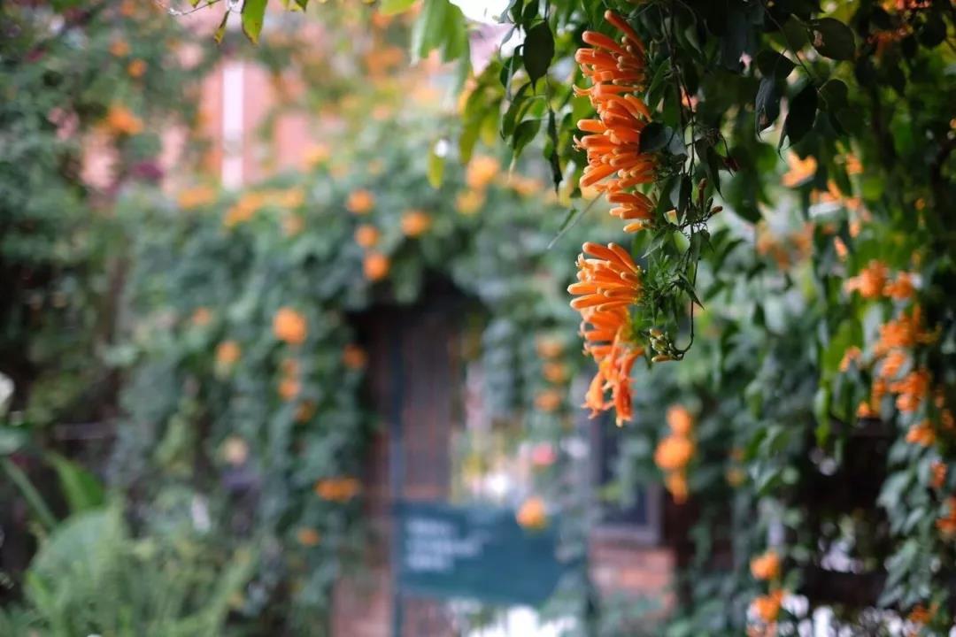 古山重水云間，細水長流吸引你