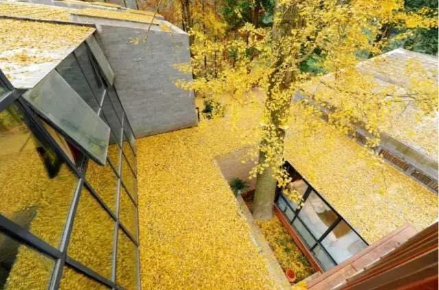 上山上去生活吧，上山上迎你還家！