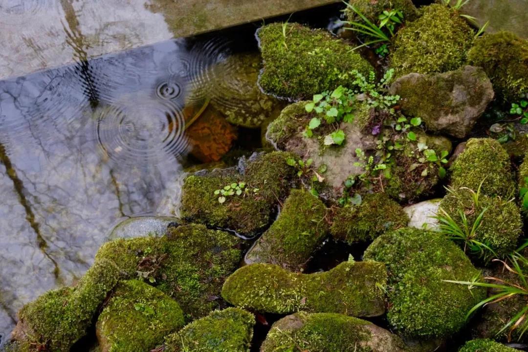 上山上去生活吧，上山上迎你還家！