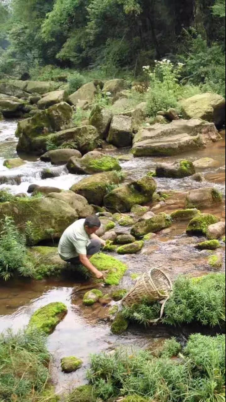 上山上去生活吧，上山上迎你還家！