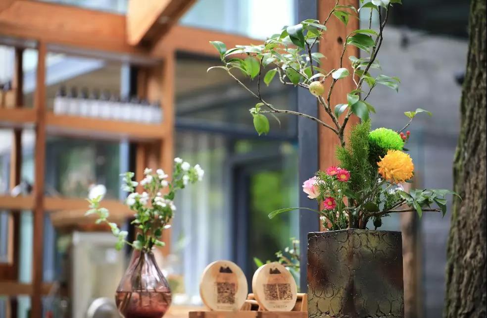 上山上去生活吧，上山上迎你還家！