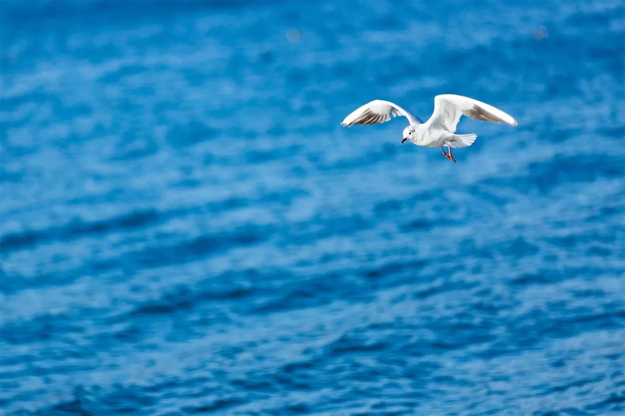 璞山云美·女兒國(guó)酒店，瀘沽湖的一場(chǎng)旅行！