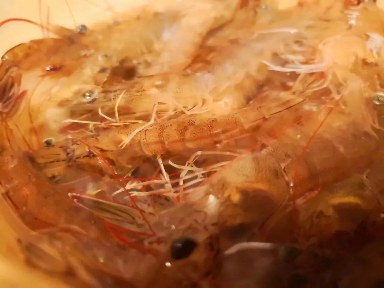 璞山云美·女兒國(guó)酒店，瀘沽湖的一場(chǎng)旅行！