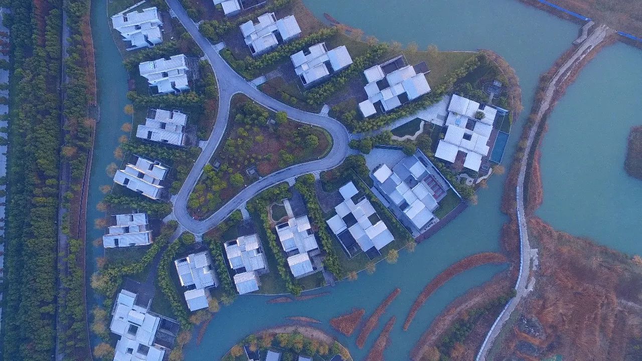 中香界·上海別院，萬水千山總是情！