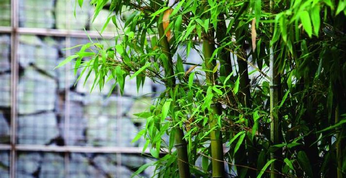 中香界·上海別院，萬(wàn)水千山總是情！