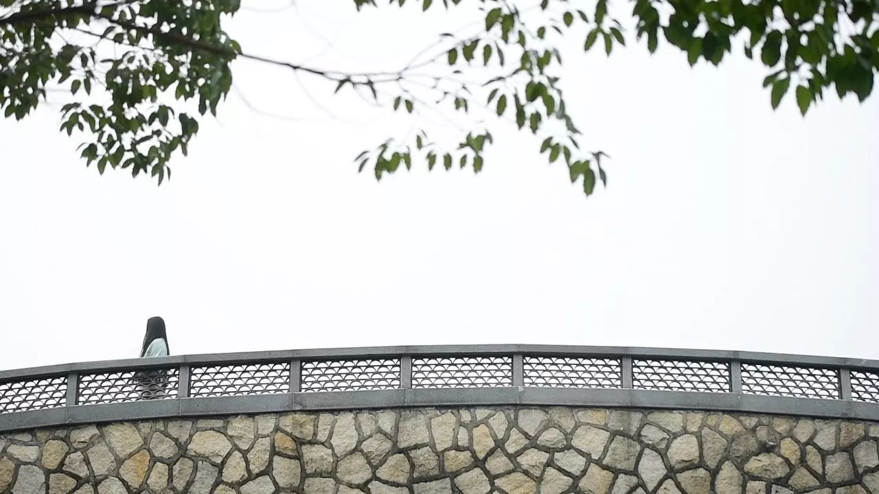 中香界·上海別院，萬水千山總是情！