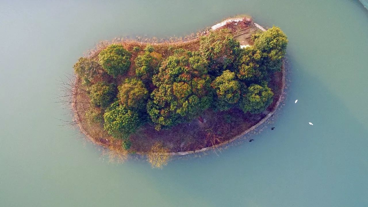 中香界·上海別院，萬水千山總是情！