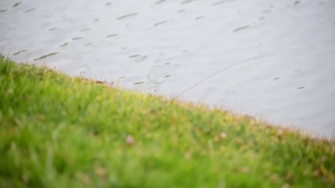 中香界·上海別院，萬水千山總是情！