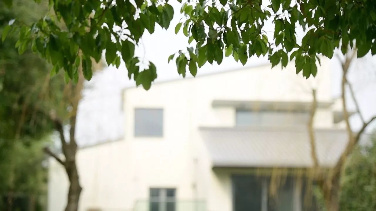 中香界·上海別院，萬水千山總是情！