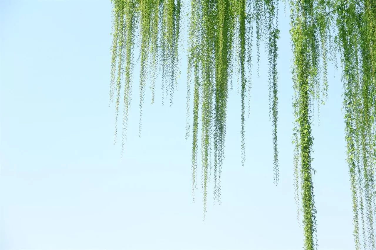 中香界·上海別院，萬水千山總是情！