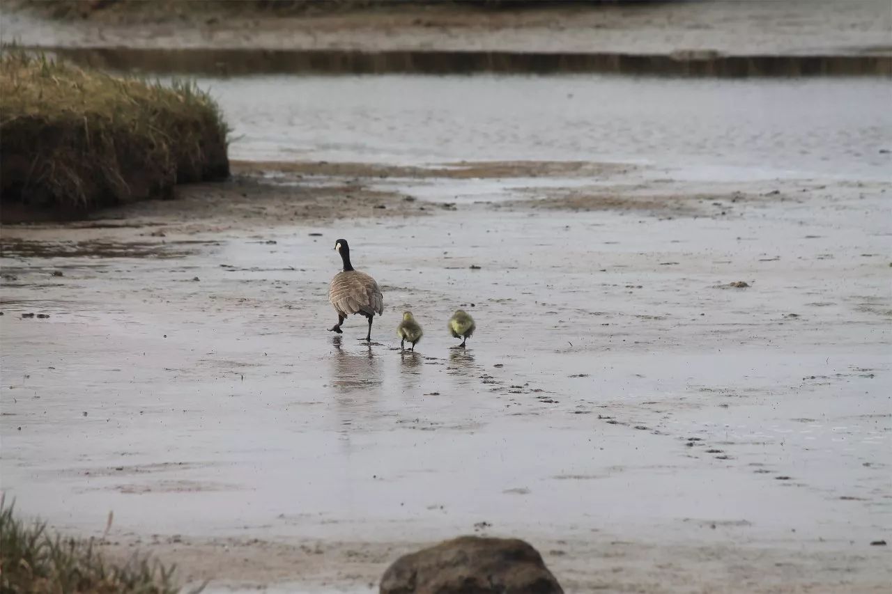 中香界·上海別院，萬水千山總是情！