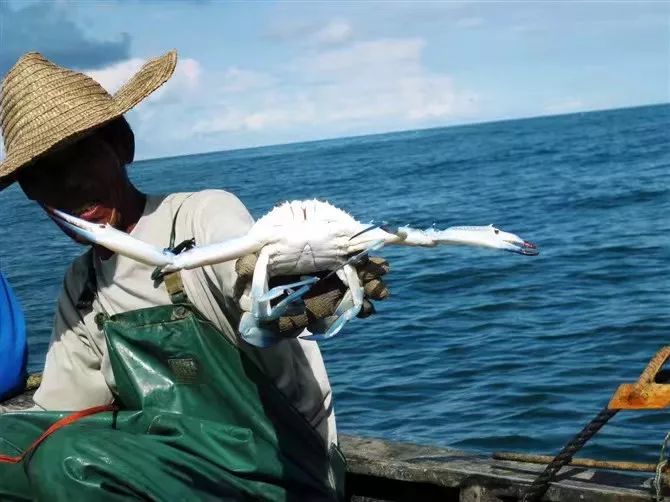 潿洲島·頤客潮宿，有一個夢面朝大海春暖花開