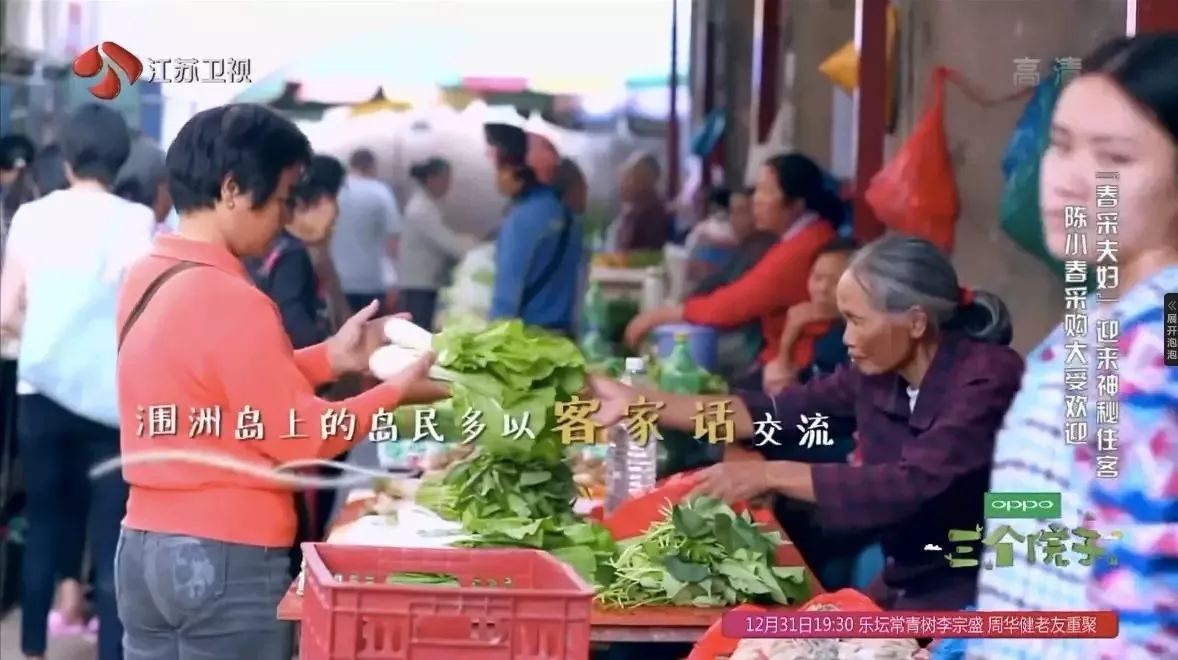 潿洲島·頤客潮宿，有一個夢面朝大海春暖花開