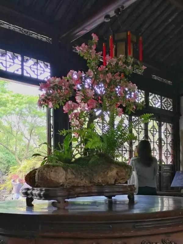 中國的四大名園，意想不到的風(fēng)景園林美!