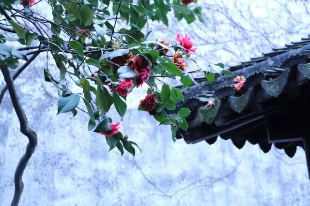 中國的四大名園，意想不到的風(fēng)景園林美!