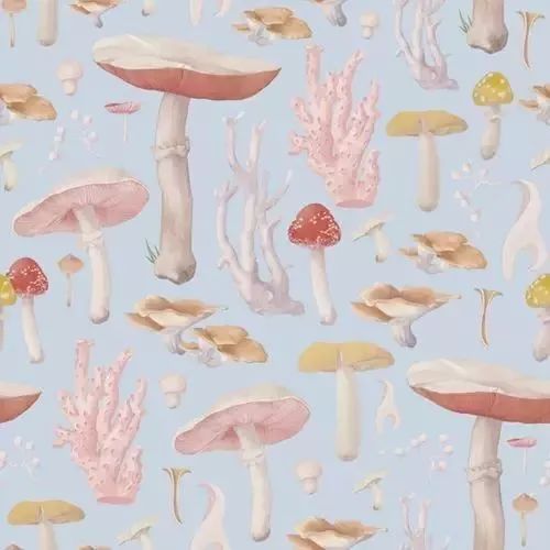 風(fēng)格獨特的插畫圖片，時尚清新色調(diào)手繪插畫