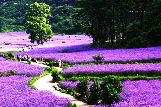 最美貴州風景，用山水風景點亮貴州文化！