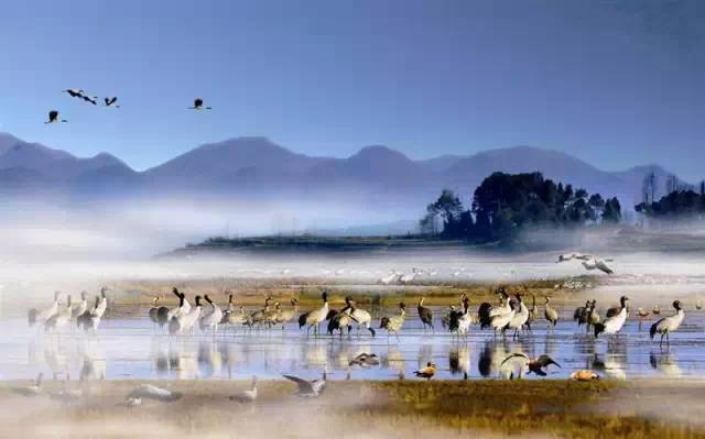 最美貴州風(fēng)景，用山水風(fēng)景點(diǎn)亮貴州文化！