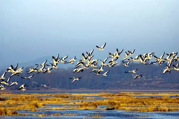 最美貴州風(fēng)景，用山水風(fēng)景點(diǎn)亮貴州文化！