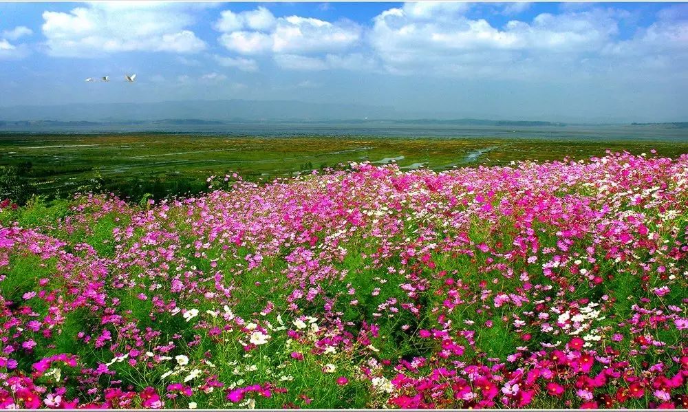 最美貴州風(fēng)景，用山水風(fēng)景點(diǎn)亮貴州文化！