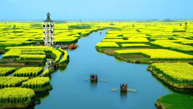 美到窒息的中國(guó)最美油菜花海，邂逅花海風(fēng)景！