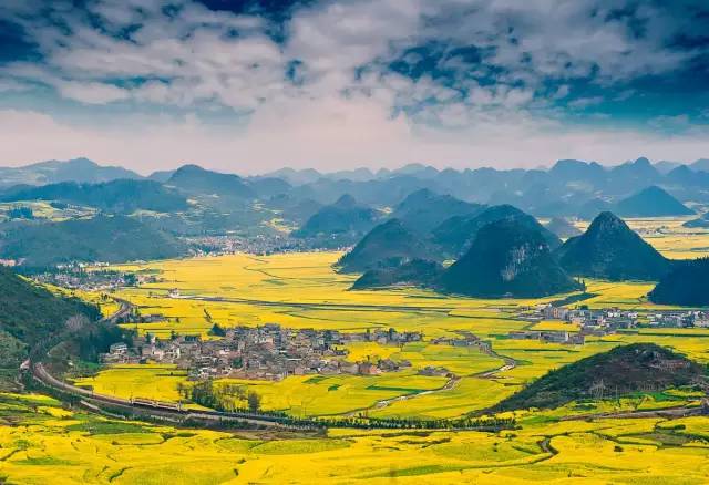 美到窒息的中國(guó)最美油菜花海，邂逅花海風(fēng)景！