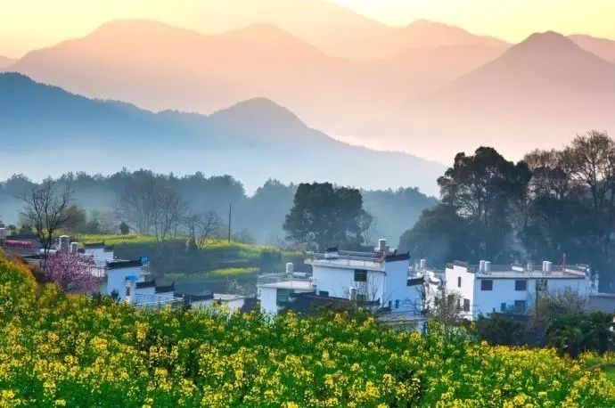 美到窒息的中國最美油菜花海，邂逅花海風(fēng)景！