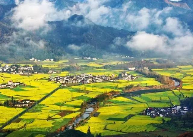 美到窒息的中國最美油菜花海，邂逅花海風(fēng)景！
