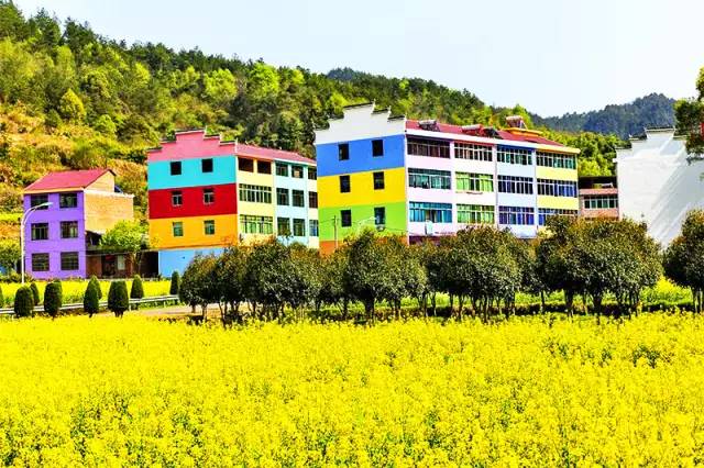 美到窒息的中國最美油菜花海，邂逅花海風(fēng)景！