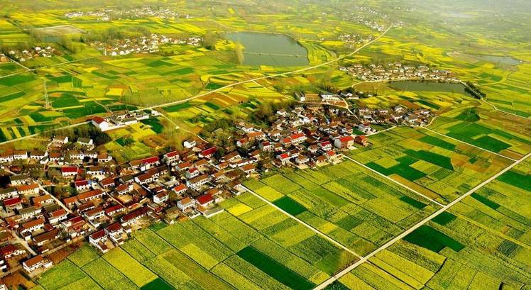 美到窒息的中國最美油菜花海，邂逅花海風(fēng)景！