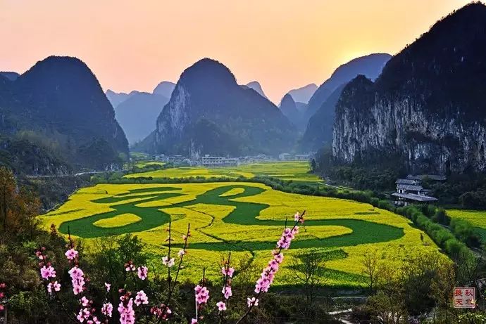 美到窒息的中國最美油菜花海，邂逅花海風(fēng)景！