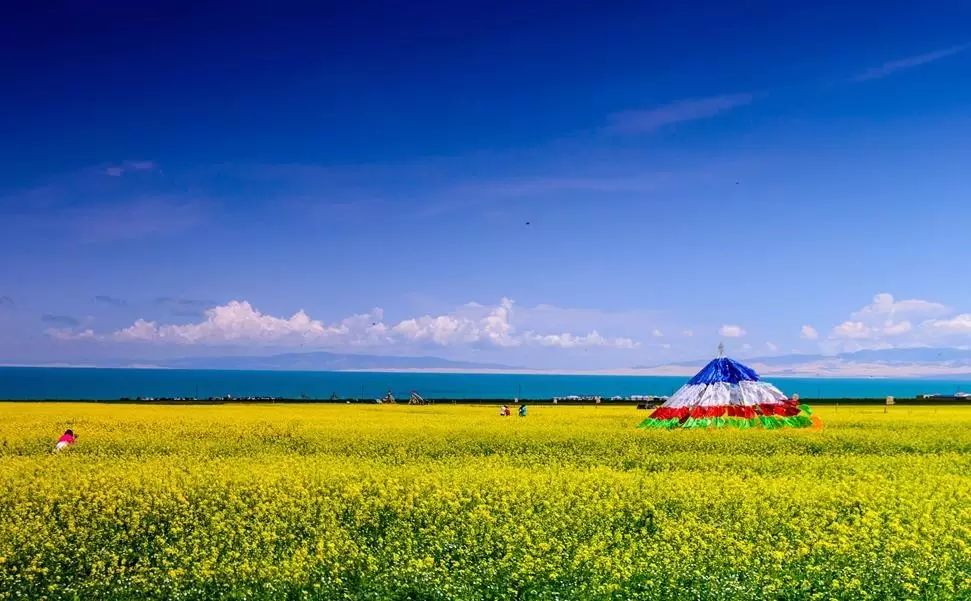 美到窒息的中國最美油菜花海，邂逅花海風(fēng)景！