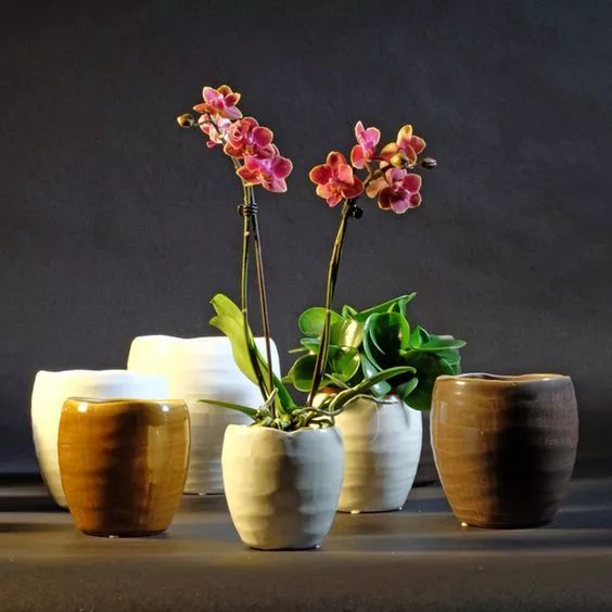 花香滿溢，唯美花藝設(shè)計(jì)！