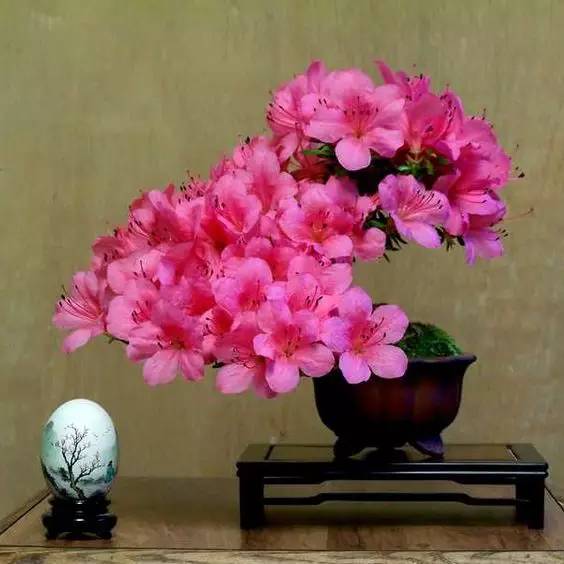 花香滿溢，唯美花藝設(shè)計(jì)！