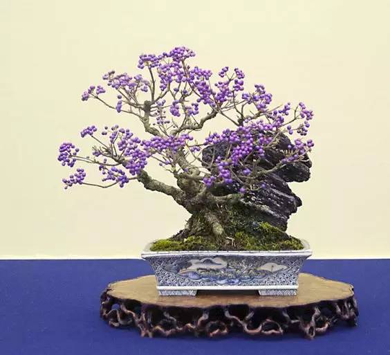 花香滿溢，唯美花藝設(shè)計(jì)！