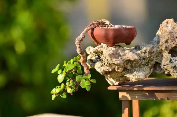 花香滿溢，唯美花藝設(shè)計(jì)！