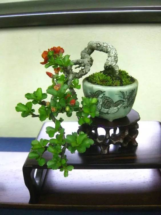 花香滿溢，唯美花藝設(shè)計(jì)！