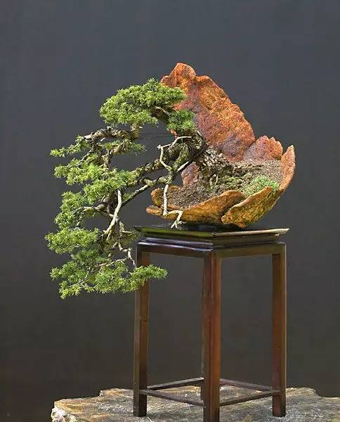 花香滿溢，唯美花藝設(shè)計(jì)！