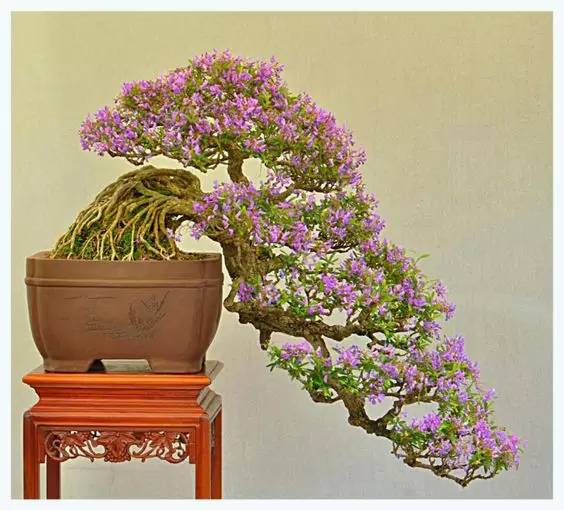 花香滿溢，唯美花藝設(shè)計(jì)！